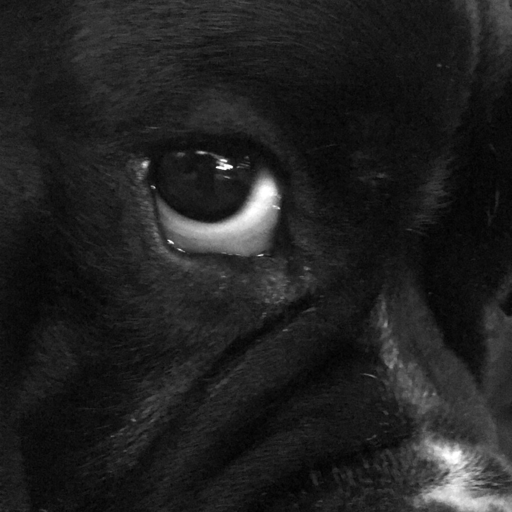 Meet your Posher, Jayne